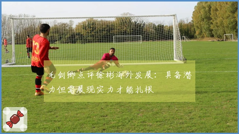 毛剑卿点评徐彬海外发展：具备潜力但需展现实力才能扎根